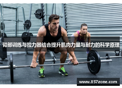 臂部训练与拉力器结合提升肌肉力量与耐力的科学原理